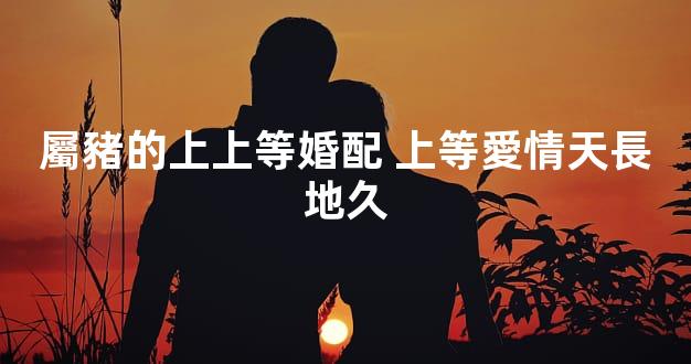 屬豬的上上等婚配 上等愛情天長地久